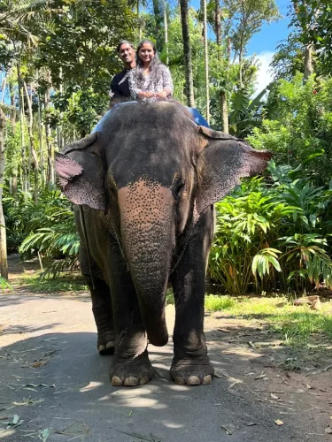 Thekkady elephant ride 